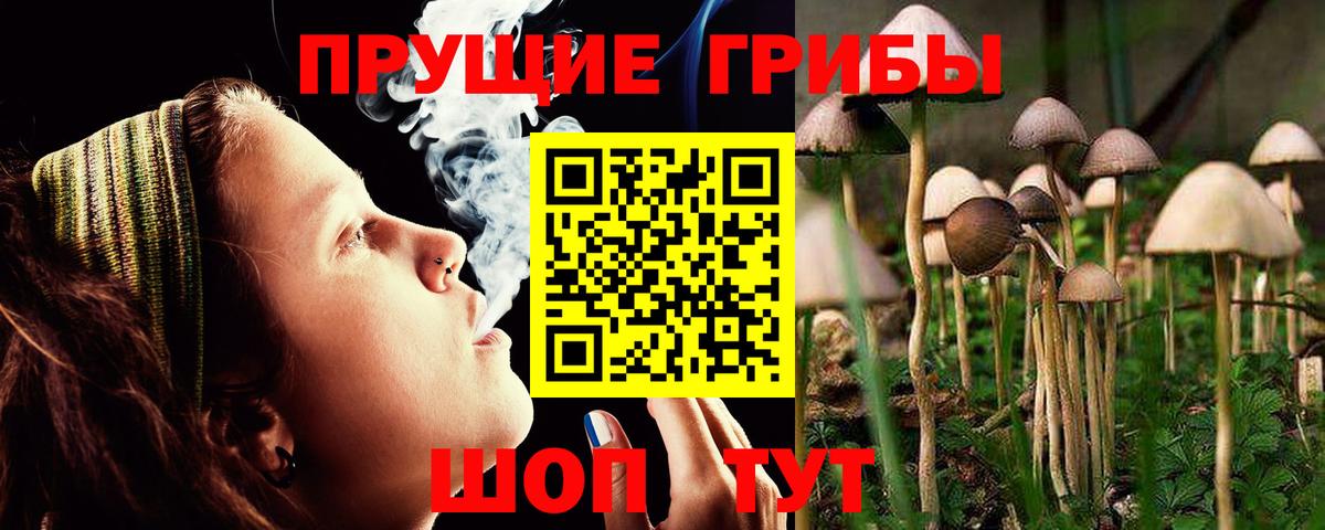 Галлюциногенные грибы Psilocybe  Галлюциногенные грибы Cubensis  Саяногорск  Вход с VPN 